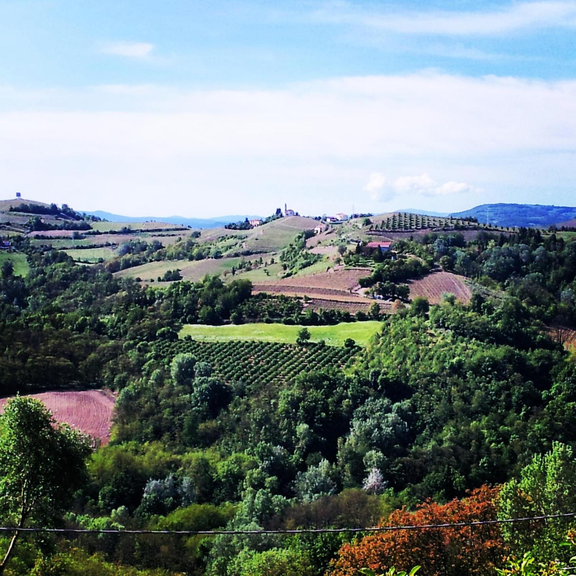 Bed And Breakfast Val D'Oche Castel Boglione Εξωτερικό φωτογραφία